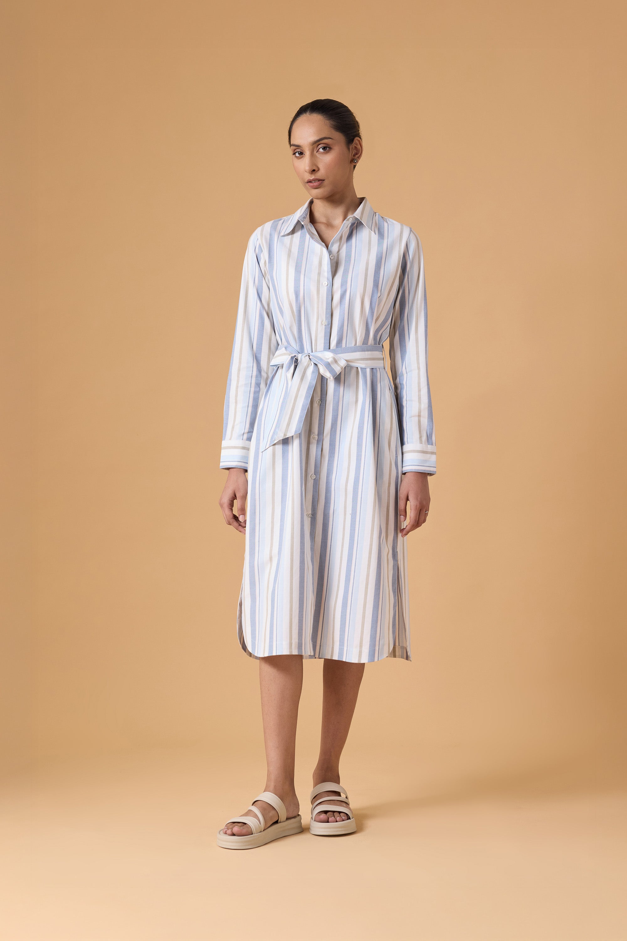 Studio Shirt Dress - Powder Blue Stripes